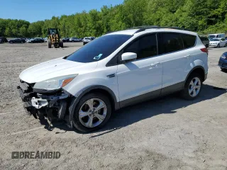2013 Ford Escape SE with VIN 1FMCU9G99DUC73121, listed as a Copart auction lot 57966605 with 169,764 mi miles and Salvage title. Bid and sale history available at DreamBid. Image 1.