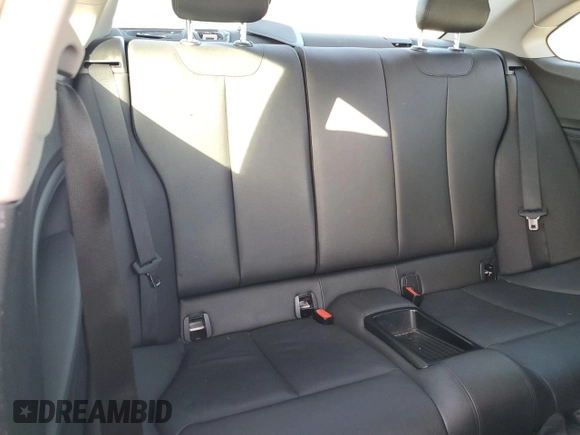 2015 BMW 2 Series 228i with VIN WBA1F5C59FV257321, listed as a Copart auction lot 80915464 with 113,776 mi miles and Salvage title. Bid and sale history available at DreamBid. Image 10.