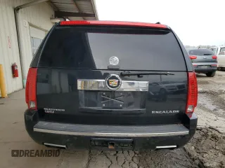 2013 Cadillac Escalade Platinum Edition with VIN 1GYS4DEF8DR133652, listed as a Copart auction lot 79134744 with 0 mi miles and Salvage Title. Bid and sale history available at carsss.com. Image 6.