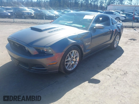2014 Ford Mustang GT with VIN 1ZVBP8CF1E5206700, listed as a IAAI auction lot 41591289 with 118,769 mi miles and . Bid and sale history available at DreamBid. Image 2.