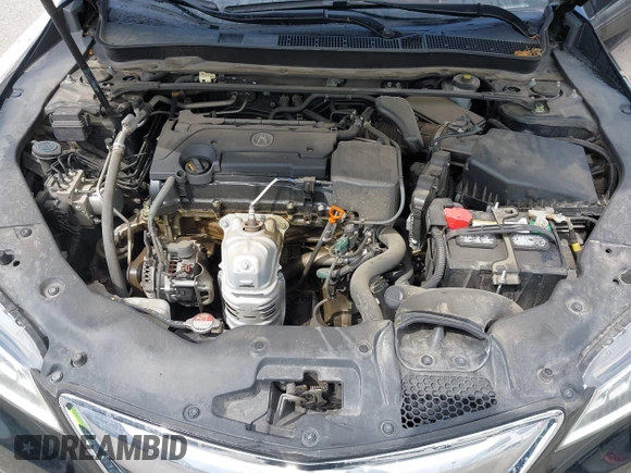 2017 Acura TLX Technology z VIN 19UUB1F53HA007617, wystawiony jako IAAI lot #42039385 z przebiegiem Nie podano mil oraz . Historia ofert i sprzedaży dostępna na DreamBid. Obrazek 10.