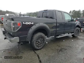 2010 Ford F-150 XL with VIN 1FTFX1EVXAFA78901, listed as a Copart auction lot 49367185 with 141,844 mi miles and Salvage Title. Bid and sale history available at carsss.com. Image 3.