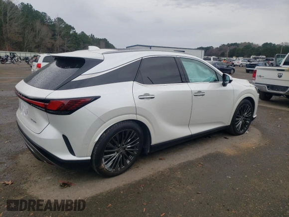 2023 Lexus RX with VIN 2T2BAMBA8PC016445, listed as a Copart auction lot 89324395 with 10,154 mi miles and Salvage Title. Bid and sale history available at carsss.com. Image 3.