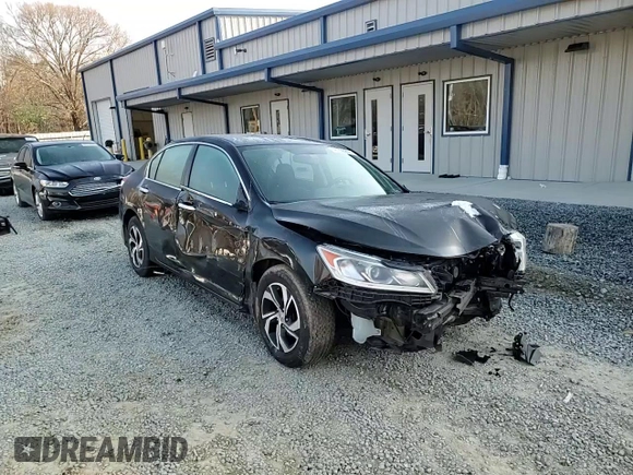 2017 Honda Accord LX with VIN 1HGCR2F34HA212343, listed as a Copart auction lot 48938905 with 124,645 mi miles and Salvage Title. Bid and sale history available at carsss.com. Image 11.