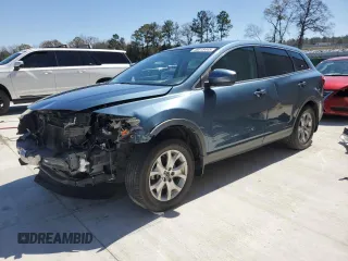 2014 Mazda CX-9 Touring with VIN JM3TB2CA9E0437923, listed as a Copart auction lot 49315445 with 162,092 mi miles and Salvage Title. Bid and sale history available at carsss.com. Image 1.