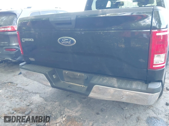 2017 Ford F-150 XL with VIN 1FTEW1CF0HFB67607, listed as a IAAI auction lot 42079218 with 128,148 mi miles. Bid and sale history available at carsss.com. Image 16.
