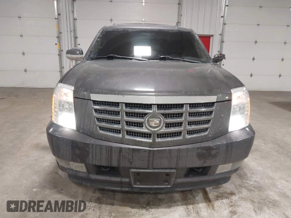 2010 Cadillac Escalade Luxury z VIN 1GYUKBEF8AR271903, wystawiony jako IAAI lot #41389169 z przebiegiem 161 364 mil mil oraz . Historia ofert i sprzedaży dostępna na DreamBid. Obrazek 12.