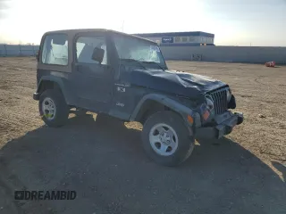 2002 Jeep Wrangler X with VIN 1J4FA39S42P750146, listed as a Copart auction lot 44587995 with 230,334 mi miles and Salvage Title. Bid and sale history available at carsss.com. Image 4.