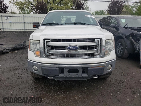 2014 Ford F-150 XL with VIN 1FTEX1EM7EFB23883, listed as a Copart auction lot 55429125 with 74,002 mi miles and Salvage title. Bid and sale history available at DreamBid. Image 5.