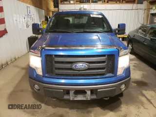 2009 Ford F-150 XL with VIN 1FTPW14V09KB58851, listed as a Copart auction lot 60174025 with 209,055 mi miles and Clean title. Bid and sale history available at DreamBid. Image 5.