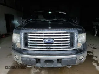 2010 Ford F-150 XL with VIN 1FTFW1EV8AFD31300, listed as a Copart auction lot 45961935 with Not Provided miles and Salvage Title. Bid and sale history available at DreamBid. Image 5.