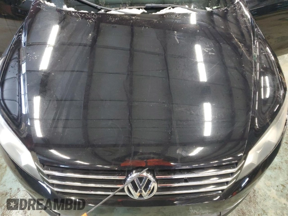 2013 Volkswagen Passat SE with VIN 1VWBH7A35DC010723, listed as a Copart auction lot 44300785 with 170,942 mi miles and Clean Title. Bid and sale history available at carsss.com. Image 11.