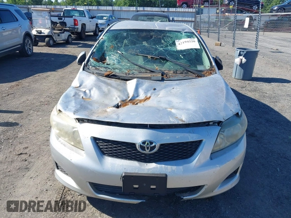 2010 Toyota Corolla with VIN 2T1BU4EE0AC285881, listed as a IAAI auction lot 42194220 with Not Provided miles and . Bid and sale history available at DreamBid. Image 6.