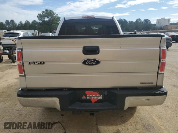 2011 Ford F-150 XL with VIN 1FTEX1EM8BFB88382, listed as a Copart auction lot 46540635 with 114,053 mi miles and Clean Title. Bid and sale history available at DreamBid. Image 6.