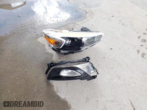 2014 Kia Cadenza Premium with VIN KNALN4D75E5120347, listed as a Copart auction lot 72796524 with 116,104 mi miles and Salvage Title. Bid and sale history available at carsss.com. Image 12.
