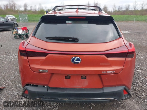 2019 Lexus UX 250h z VIN JTHU9JBH3K2003383, wystawiony jako IAAI lot #42151535 z przebiegiem 98 996 mil mil oraz . Historia ofert i sprzedaży dostępna na DreamBid. Obrazek 17.
