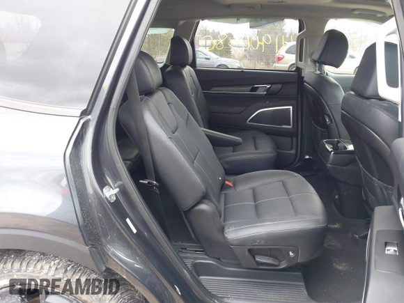 2022 Kia Telluride EX with VIN 5XYP3DHC6NG218702, listed as a IAAI auction lot 41900380 with 46,876 mi miles and . Bid and sale history available at carsss.com. Image 8.