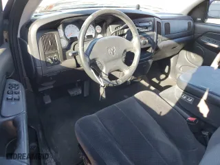 2002 Dodge Ram 1500 with VIN 1D7HA16N12J143907, listed as a Copart auction lot 43896005 with 0 mi miles and Salvage Title. Bid and sale history available at carsss.com. Image 8.