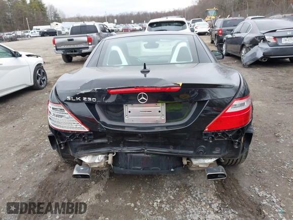 2015 Mercedes-Benz SLK-Class SLK 250 with VIN WDDPK4HA5FF111457, listed as a IAAI auction lot 41816350 with 35,524 mi miles. Bid and sale history available at carsss.com. Image 16.