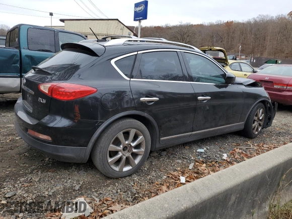 2008 Infiniti EX Journey with VIN JNKAJ09E08M301919, listed as a Copart auction lot 80891144 with Not Provided miles and Salvage Title. Bid and sale history available at DreamBid. Image 3.