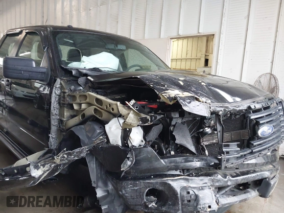 2014 Ford F-150 XL with VIN 1FTFW1EF9EKG02046, listed as a IAAI auction lot 41975651 with 139,306 mi miles and . Bid and sale history available at DreamBid. Image 6.