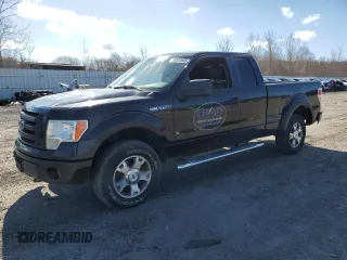 2010 Ford F-150 XL with VIN 1FTEX1E89AFB69003, listed as a Copart auction lot 50552935 with 132,374 mi miles and Clean Title. Bid and sale history available at carsss.com. Image 1.