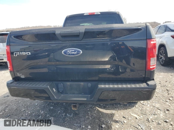2016 Ford F-150 XLT with VIN 1FTEX1EP6GKD30785, listed as a Copart auction lot 50376035 with 161,343 mi miles and Salvage Title. Bid and sale history available at carsss.com. Image 6.