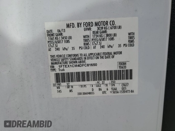 2013 Ford F-150 XL with VIN 1FTEX1CM4DFC81650, listed as a Copart auction lot 52021375 with 172,413 mi miles and Salvage title. Bid and sale history available at DreamBid. Image 12.