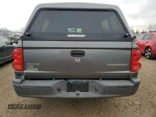 2010 Dodge Dakota SXT with VIN 1D7CW3GP3AS161843, listed as a Copart auction lot 76721334 with 308,931 mi miles and Clean Title. Bid and sale history available at DreamBid. Image 6.
