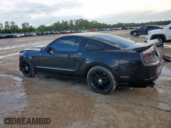 2014 Ford Mustang V6 с VIN 1ZVBP8AM7E5317804, выставлен на аукционе Copart как лот 60095725 с пробегом 74 932 миль миль и Списание • Salvage title. История ставок и продаж доступна на DreamBid. Изображение 2.