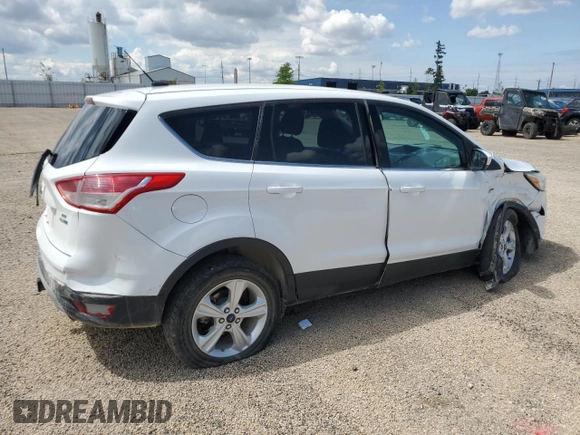 2013 Ford Escape SE with VIN 1FMCU9G96DUD66971, listed as a Copart auction lot 58507505 with 135,866 mi miles and Salvage title. Bid and sale history available at DreamBid. Image 3.