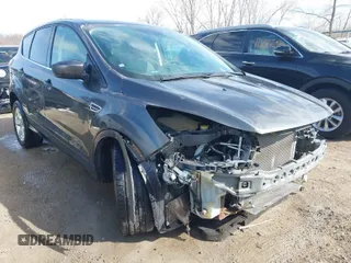 2016 Ford Escape SE with VIN 1FMCU0G78GUA20032, listed as a IAAI auction lot 41853044 with 117,005 mi miles. Bid and sale history available at carsss.com. Image 1.