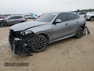 2024 BMW X6 xDrive40i with VIN 5UX33EX05R9T73095, listed as a Copart auction lot 42754435 with 53,885 mi miles and Salvage Title. Bid and sale history available at carsss.com. Image 1.