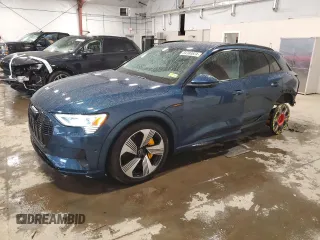 2022 Audi e-tron Premium Plus with VIN WA1LAAGE4NB006634, listed as a Copart auction lot 84389824 with 48,516 mi miles and Salvage Title. Bid and sale history available at carsss.com. Image 1.