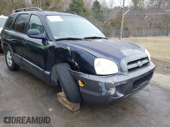2005 Hyundai Santa Fe GLS with VIN KM8SC73D45U943575, listed as a IAAI auction lot 41676922 with 265,333 mi miles. Bid and sale history available at carsss.com. Image 6.