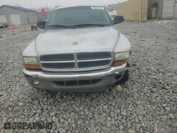 2001 Dodge Dakota with VIN 1B7GL22XX1S313638, listed as a Copart auction lot 43059385 with 114,298 mi miles and Salvage Title. Bid and sale history available at DreamBid. Image 11.
