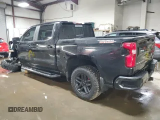 2019 Chevrolet Silverado 1500 LT Trail Boss with VIN 1GCPYFEDXKZ163999, listed as a Copart auction lot 52456855 with 81,804 mi miles and Salvage Title. Bid and sale history available at DreamBid. Image 2.