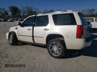 2013 Cadillac Escalade Platinum Edition with VIN 1GYS4DEF1DR250831, listed as a Copart auction lot 83069864 with 134,764 mi miles and Salvage Title. Bid and sale history available at carsss.com. Image 2.