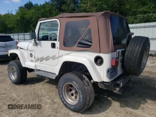 2001 Jeep Wrangler Sahara with VIN 1J4FA59SX1P338887, listed as a Copart auction lot 72835514 with 0 mi miles and Salvage Title. Bid and sale history available at carsss.com. Image 2.