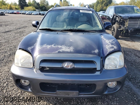 2005 Hyundai Santa Fe GLS with VIN KM8SC73E95U936274, listed as a Copart auction lot 76955984 with 166,437 mi miles and Salvage Title. Bid and sale history available at carsss.com. Image 5.