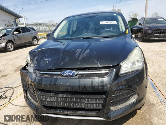 2014 Ford Escape SE with VIN 1FMCU9G9XEUA46442, listed as a Copart auction lot 52608975 with 280,355 mi miles and Salvage Title. Bid and sale history available at carsss.com. Image 5.