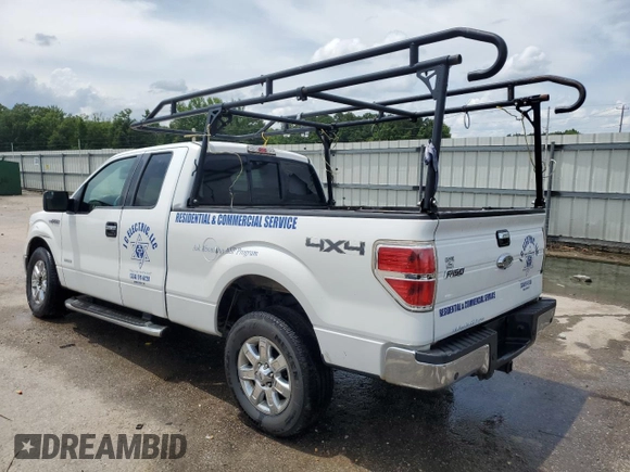 2013 Ford F-150 XL with VIN 1FTFX1ET4DFD75388, listed as a Copart auction lot 60326025 with 230,578 mi miles and Salvage title. Bid and sale history available at DreamBid. Image 2.