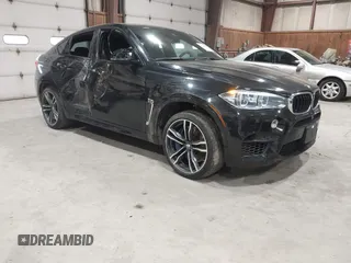 2019 BMW X6 M with VIN 5YMKW8C52KLR38376, listed as a IAAI auction lot 41846130 with 52,844 mi miles. Bid and sale history available at carsss.com. Image 1.