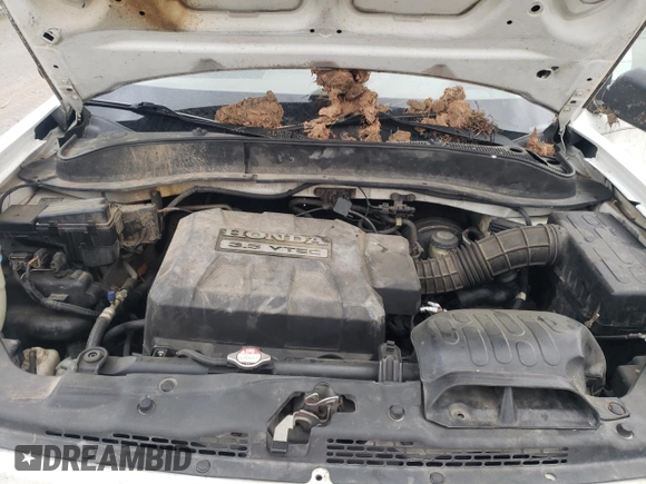 2007 Honda Ridgeline RTX z VIN 2HJYK16377H537549, wystawiony jako Copart lot #51749585 z przebiegiem 261 554 mil mil oraz Szkoda całkowita • Salvage title. Historia ofert i sprzedaży dostępna na DreamBid. Obrazek 11.