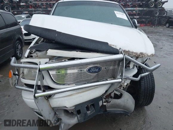 1999 Ford F-150 XL with VIN 1FTRX18L6XNB48352, listed as a IAAI auction lot 41717057 with 171,654 mi miles. Bid and sale history available at carsss.com. Image 6.