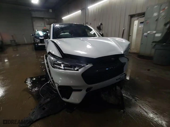 2021 Ford Mustang Mach-E GT with VIN 3FMTK4SE1MME03099, listed as a Copart auction lot 46123535 with 54,066 mi miles and Salvage Title. Bid and sale history available at carsss.com. Image 13.