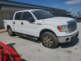 2010 Ford F-150 XL with VIN 1FTFW1EV9AFA76530, listed as a Copart auction lot 51303695 with 261,542 mi miles and Salvage Title. Bid and sale history available at DreamBid. Image 4.
