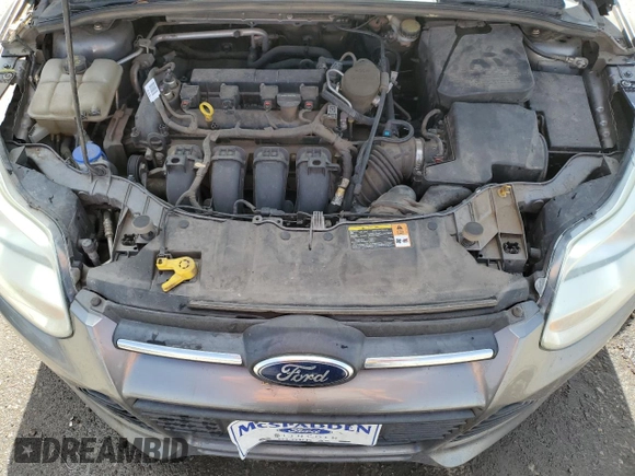2014 Ford Focus SE with VIN 1FADP3K27EL123755, listed as a Copart auction lot 46422215 with 186,183 mi miles and Salvage Title. Bid and sale history available at carsss.com. Image 12.