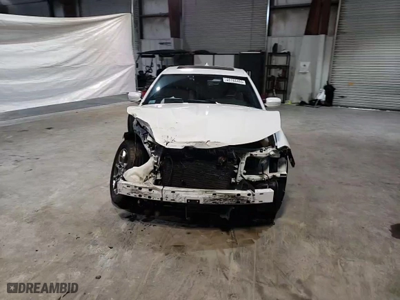 2017 Dodge Charger SXT with VIN 2C3CDXJG9HH505648, listed as a Copart auction lot 45784485 with 115,701 mi miles and Salvage Title. Bid and sale history available at carsss.com. Image 11.