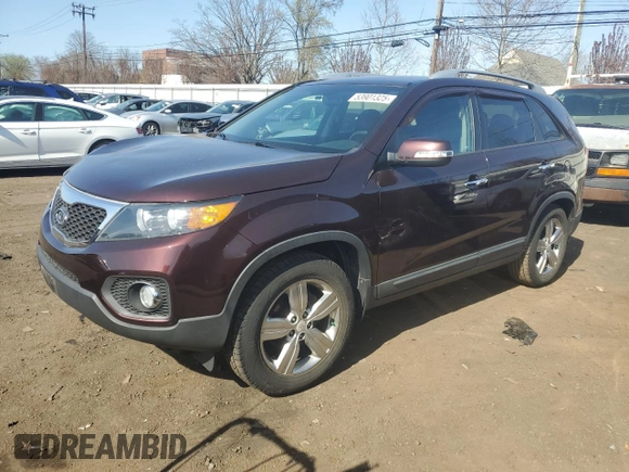 2013 Kia Sorento EX with VIN 5XYKU4A22DG372623, listed as a Copart auction lot 53901325 with 67,314 mi miles and Salvage Title. Bid and sale history available at carsss.com. Image 1.